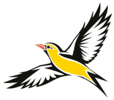 bird_flying_colored bird_flying_colored
