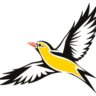 bird_flying_colored bird_flying_colored